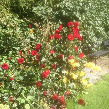 Give Bed & Breakfast * Give